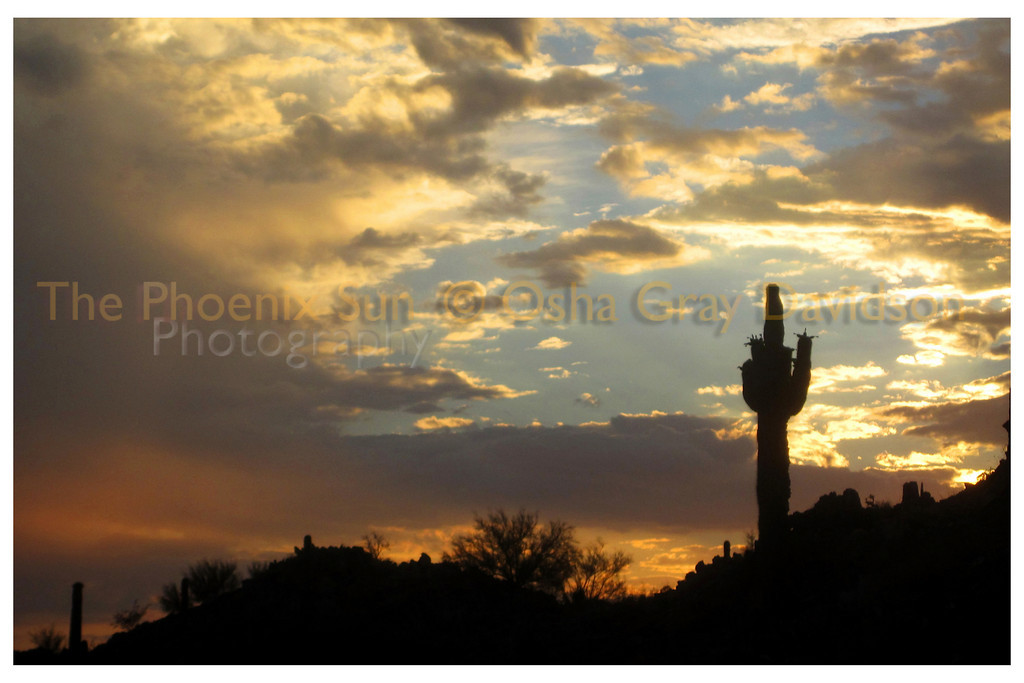 Sunset #2, summer, Sonoran Desert.