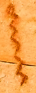 Rock art detail 2, snake