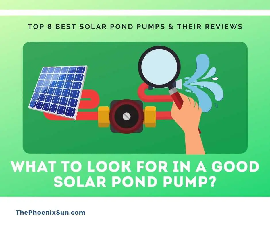 Buyer’s Guide: What to Look for in a Good Solar Pond Pump?